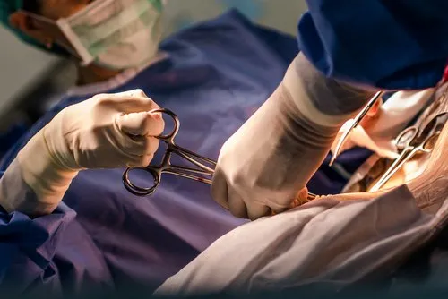 Laparoscopic Gynecology Surgeries 